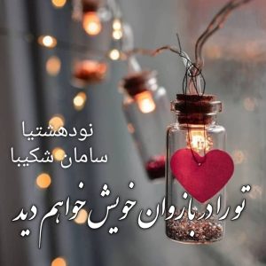 دانلود رمان تو را در بازوان خویش خواهم دید برای کامپیوتر و اندروید