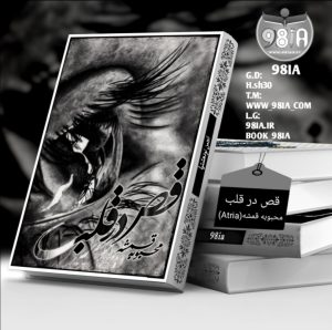 the-story-of-the-story-in-the-heart