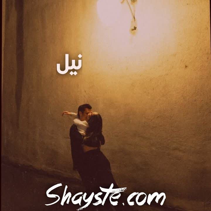 دانلود رمان نیل از فاطمه خاوریان (سایه) با لینک مستقیم